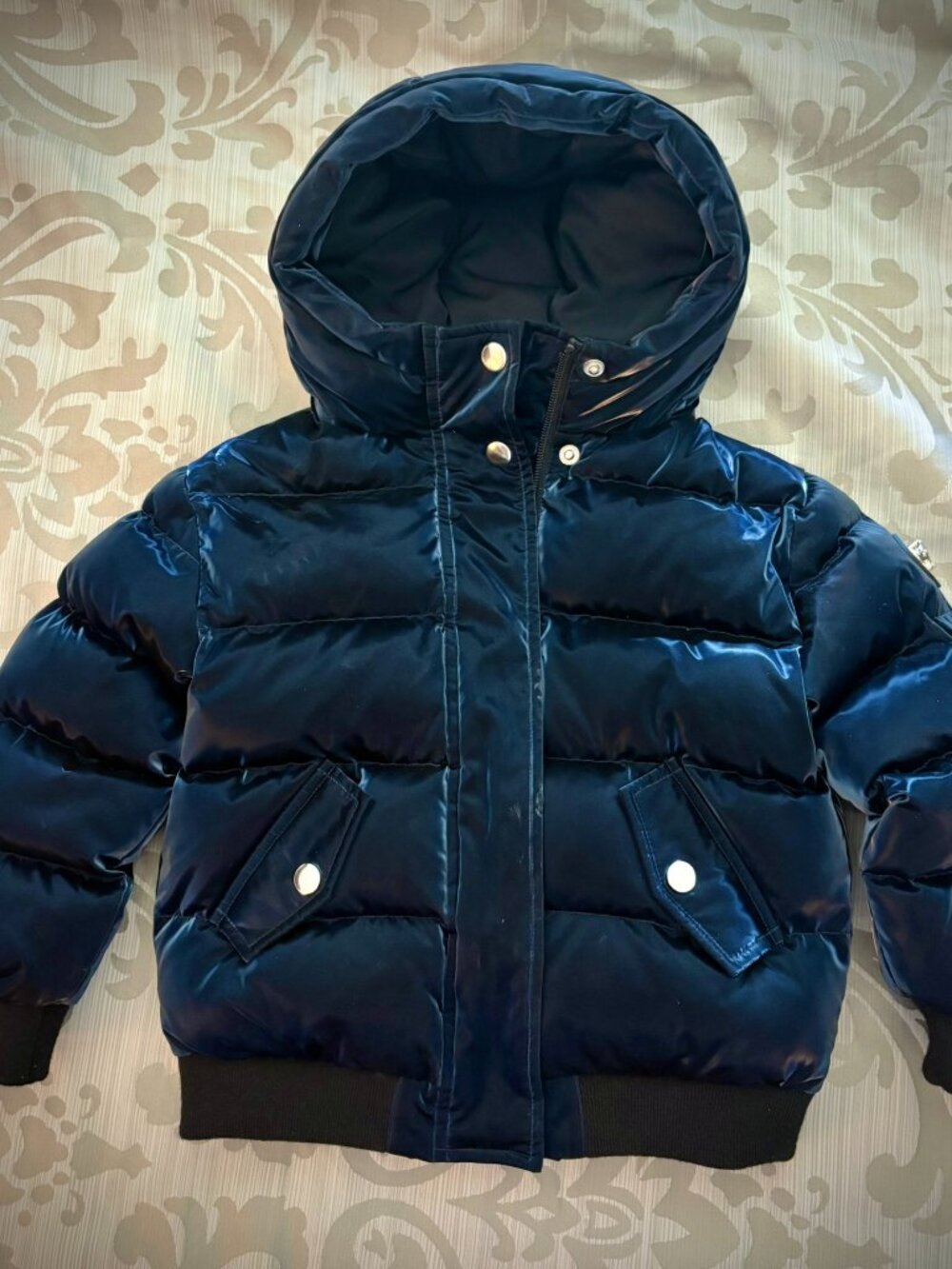 Beautiful Woodpecker jacket 4T, barely worn